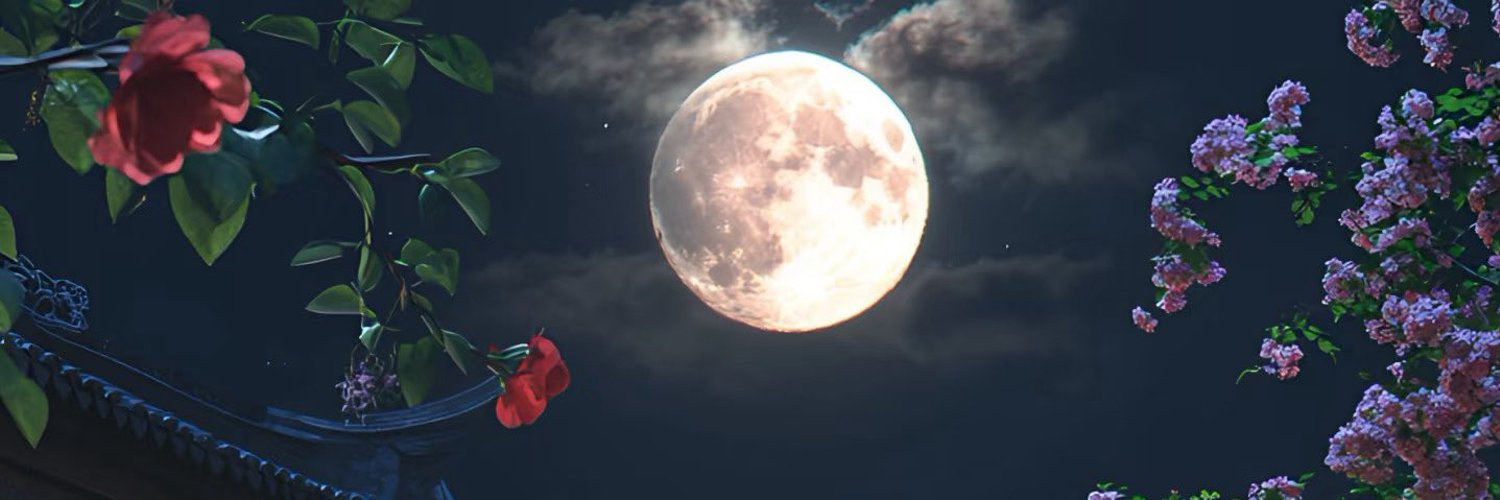 遗失的心跳's banner