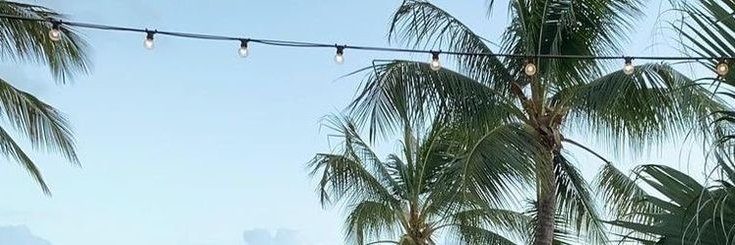 Leah Monroe's banner