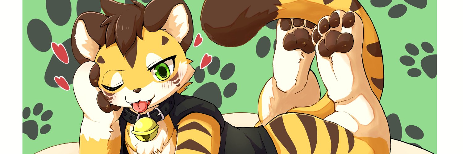 ヒンリ🐯's banner