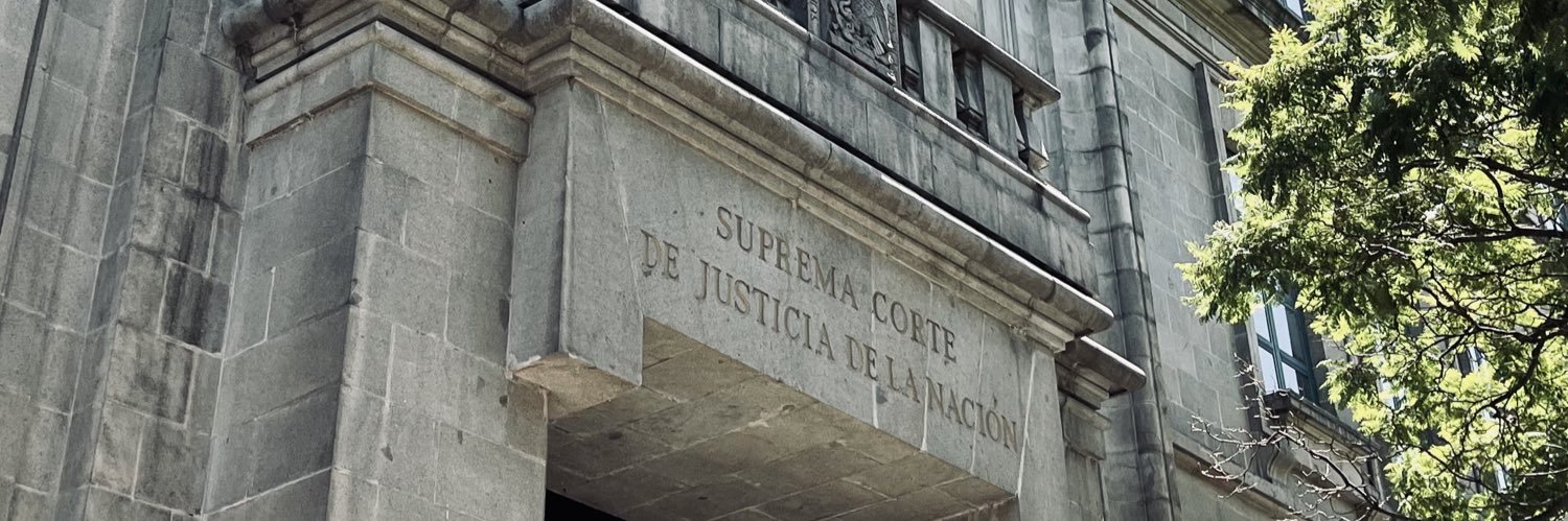Javier Laynez Potisek's banner
