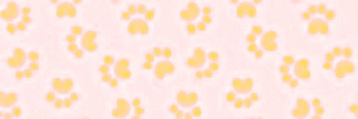 ˖ ꒰𑁬 ava ໒꒱ ˖'s banner