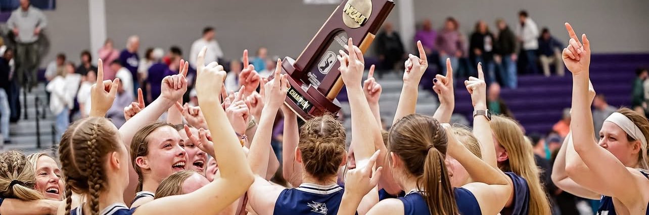 UW-Stout Women’s Basketball's banner