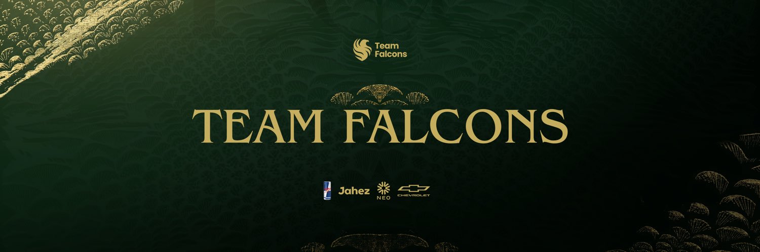 Falcon BanderitaX's banner
