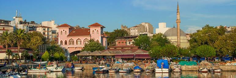 Valisiz Vilayet's banner