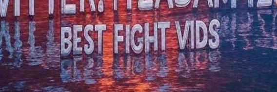 Wild Fights's banner