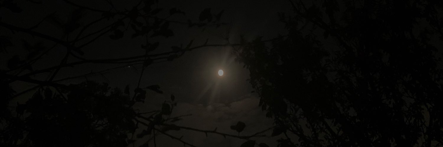 TwinkleToeAudios's banner