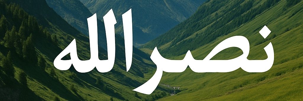نصرالله غزنوي's banner