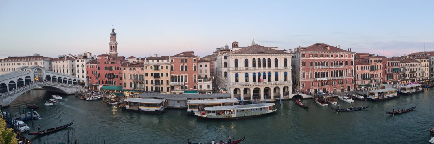 Venezia Unica's banner