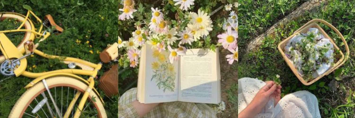 via's banner