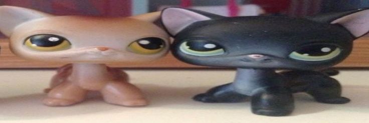 ♡'s banner