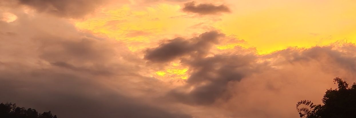 闫盼盼's banner