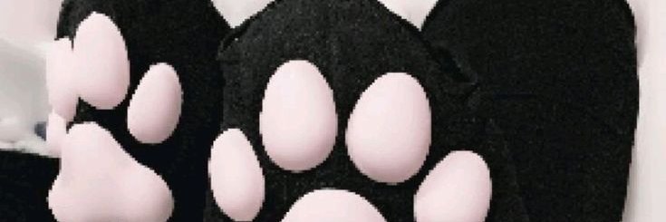 Wisteria owo🐾❄️'s banner