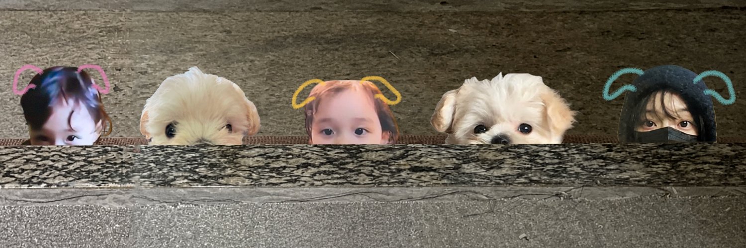 쩡말☃︎'s banner
