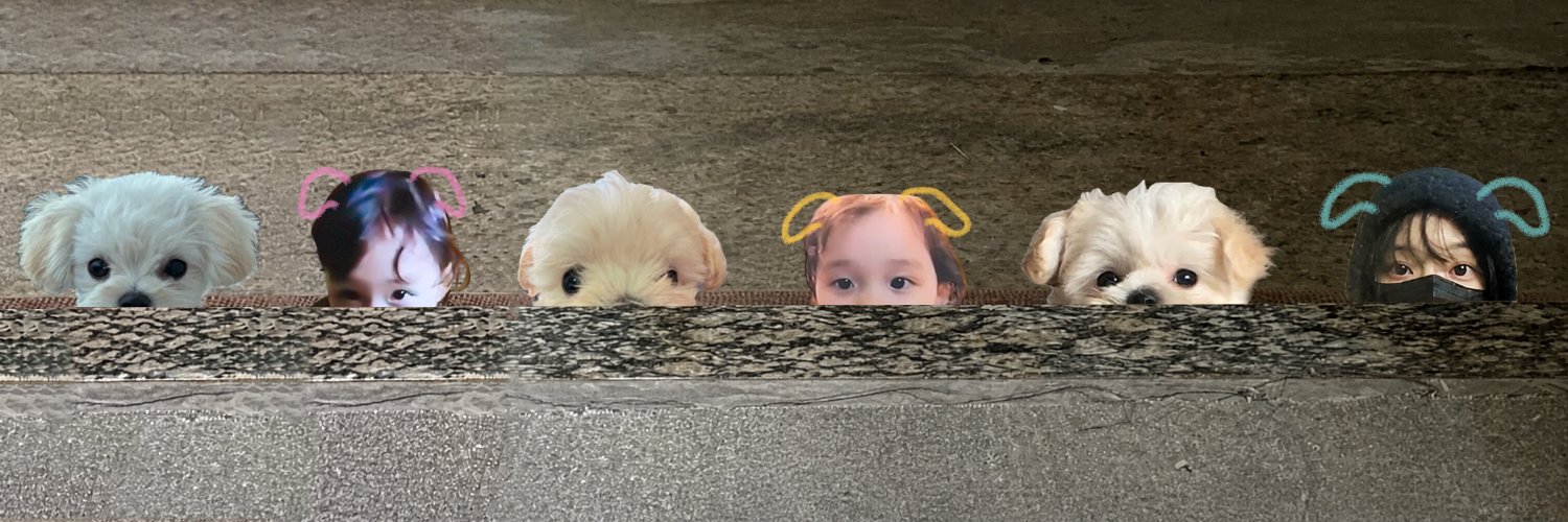 쩡말☃︎'s banner