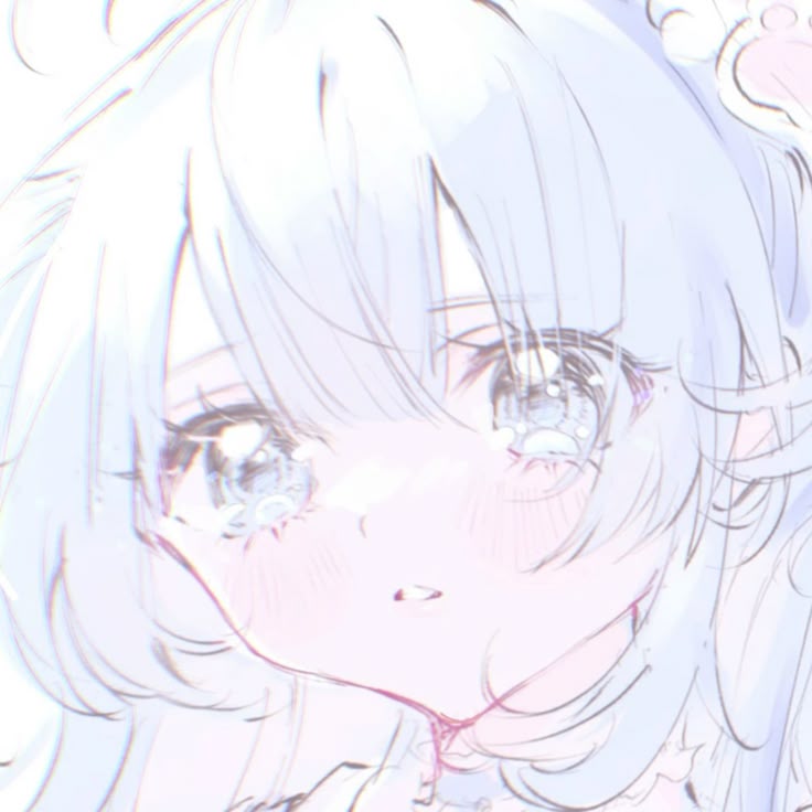 かほ's banner