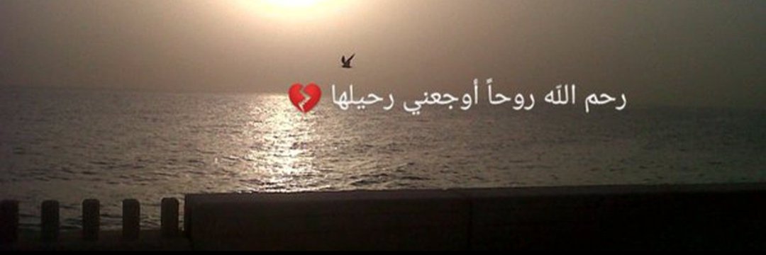ابوشهد @🇸🇦's banner