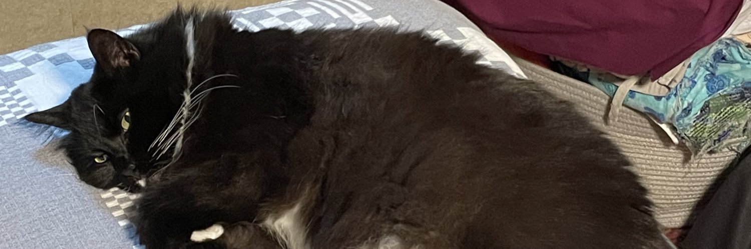 Nordy's banner