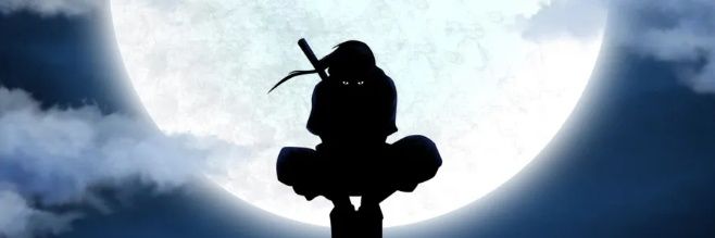 Ghost of fight 🥊's banner