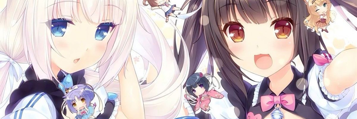 teffy ₊˚⊹ ♡ 🍥's banner