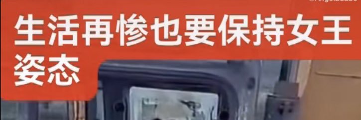 豆比's banner