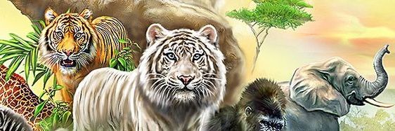 Nature is Stunning 🌿's banner