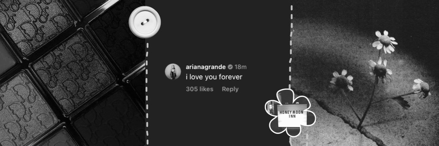 meg saw ariana ꕤ's banner