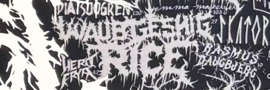 Waubgeshig Rice's banner