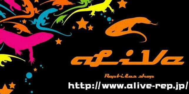 爬虫類ショップ アライブ(aLiVe)'s banner