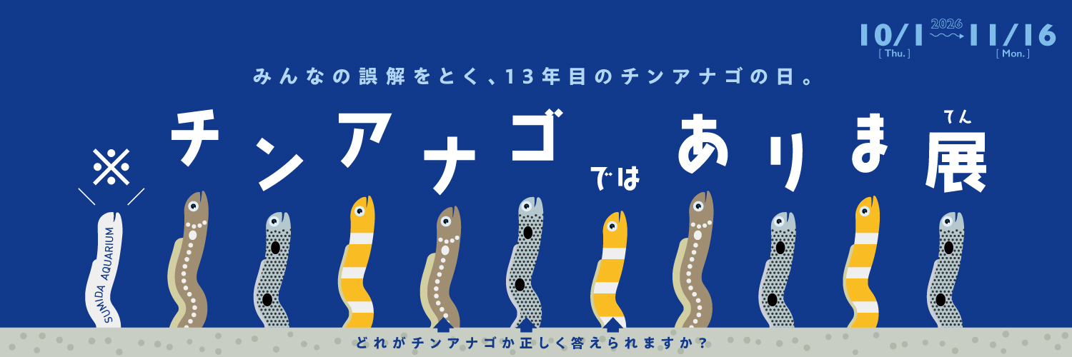 すみだ水族館【公式】's banner