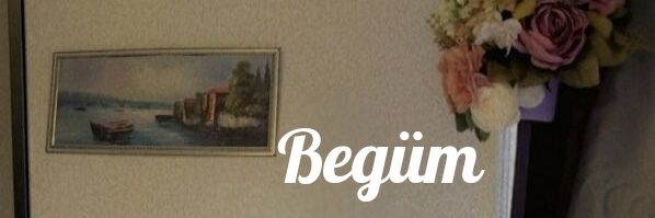 Begüm's banner