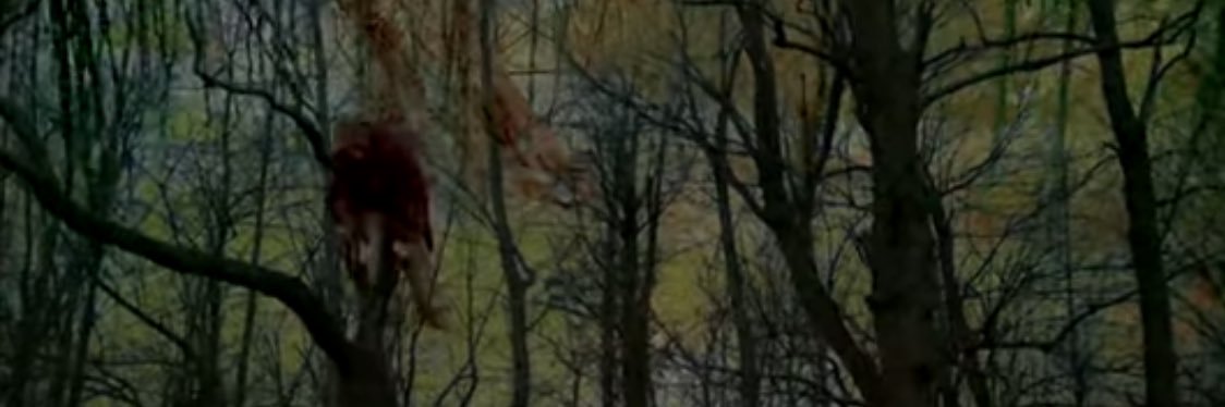 daparty250's banner