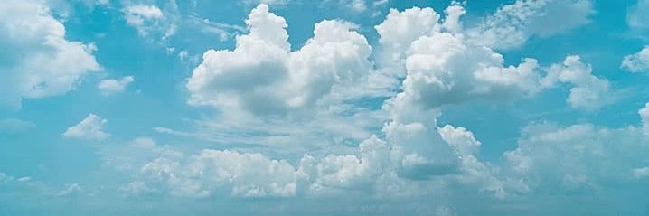 K u n g 🐷's banner