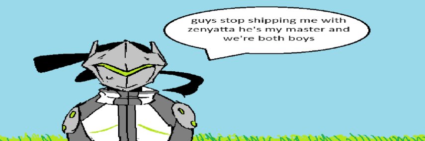 chip's banner