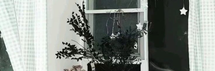 c's banner