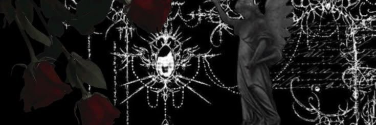 selena🕷️'s banner