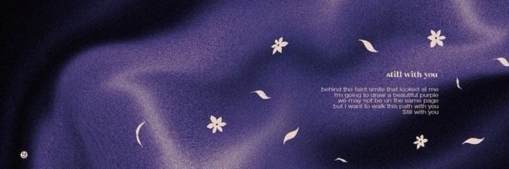 Trans Novinhas's banner