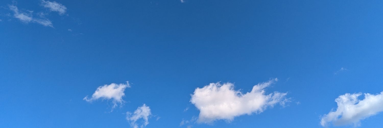 ✘改憲発議反対！檸檬🍋's banner