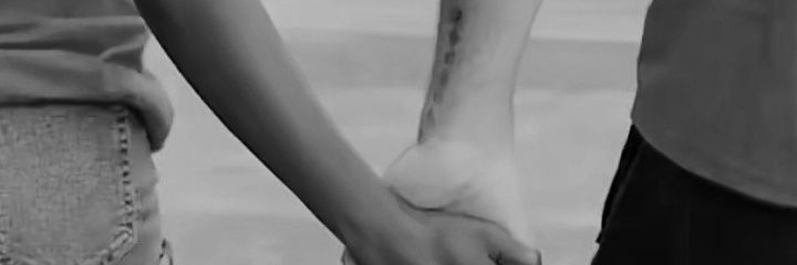 Novo's banner