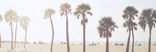 ໊'s banner