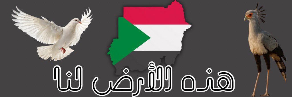 Amgad Fareid Eltayeb's banner