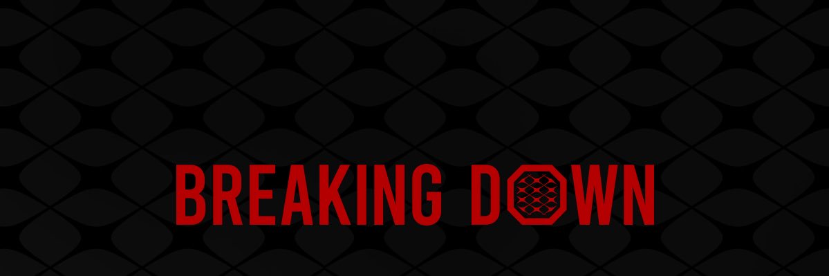 裏BreakingDown's banner