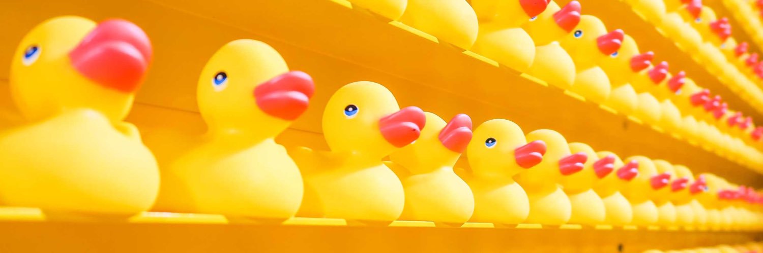 nuttduck🇮🇷's banner