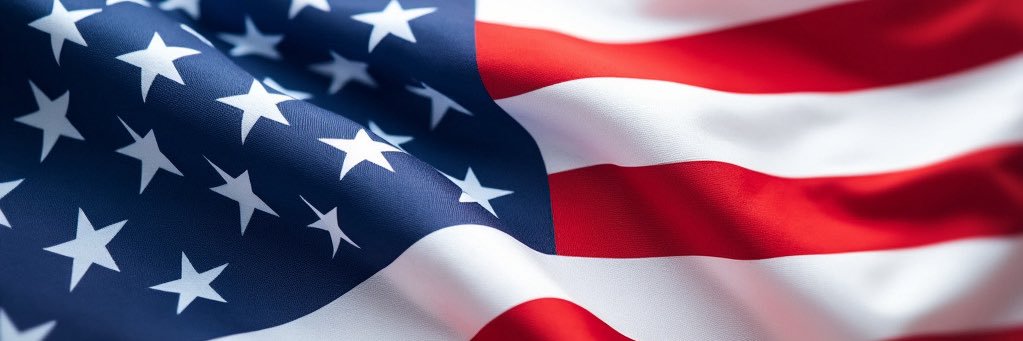 The_Moderate_Virginian's banner