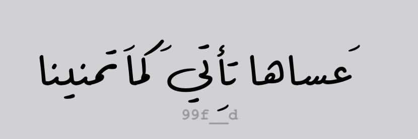 زهرة البنفسج بنت البوسعيدية 💜🌸's banner