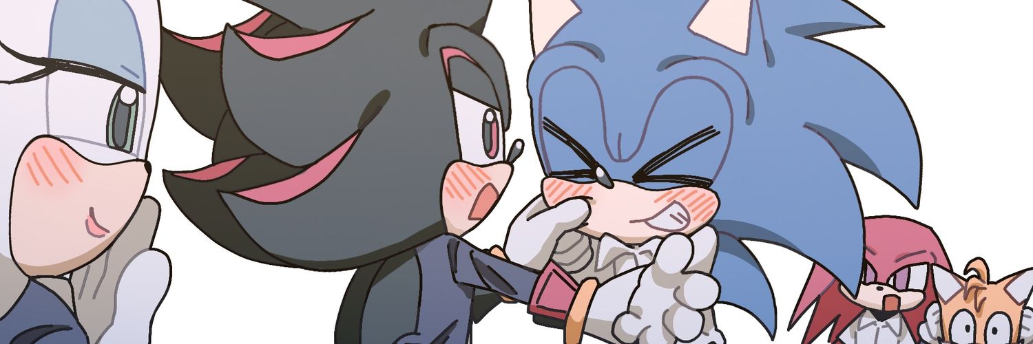 sonic_zzz23 (hiatus)'s banner