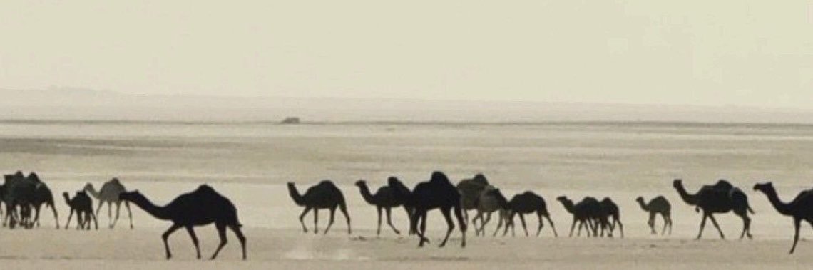 ★彡 تذكار's banner