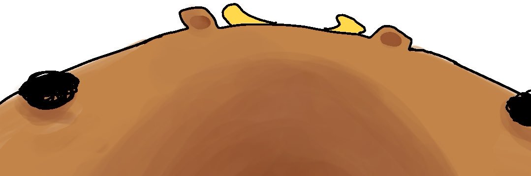 DroolingCapy's banner