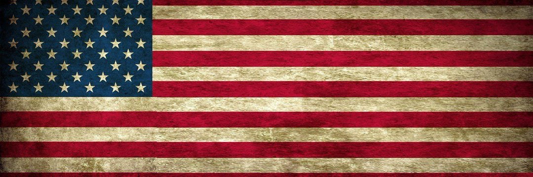 Catherine Austin Fitts's banner