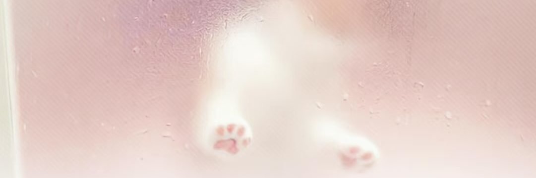 谁帮我想个ID's banner
