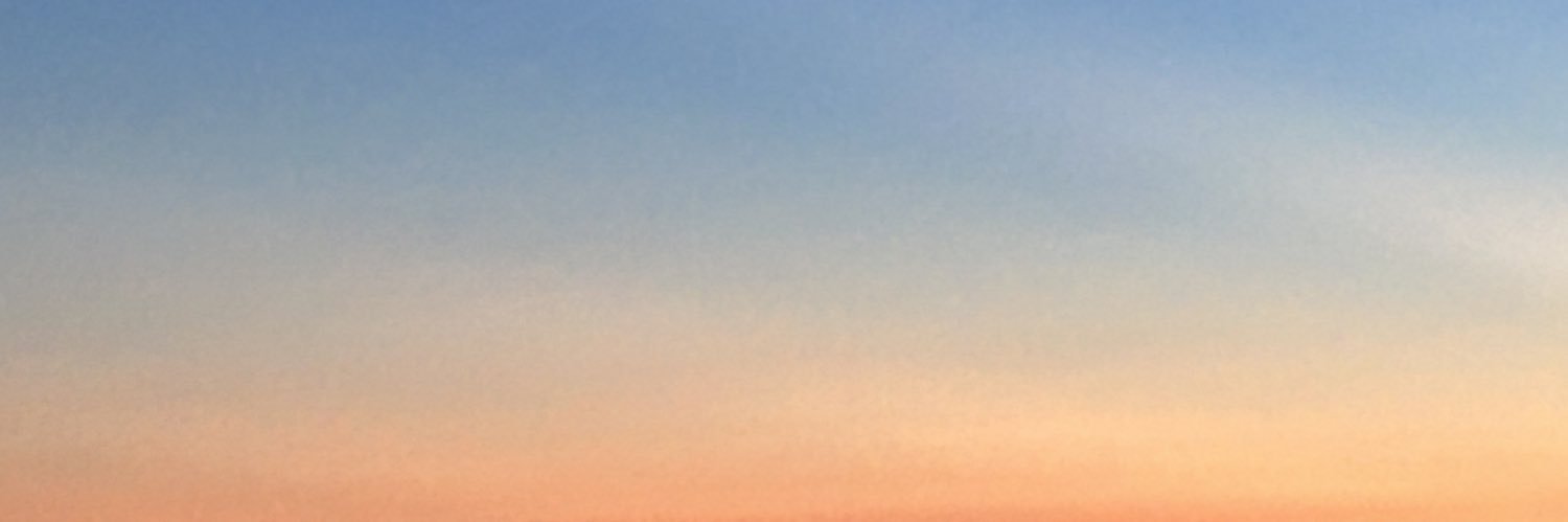 zz's banner